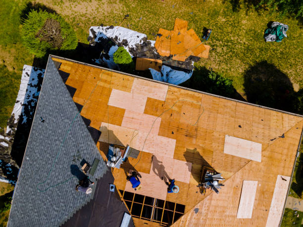 Best Roof Gutter Cleaning  in Martinez, CA